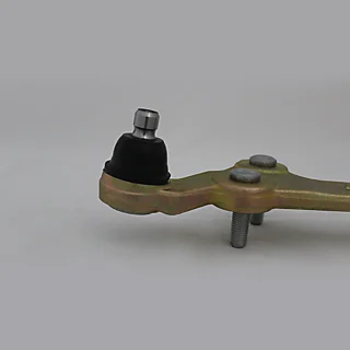طبق راست تیبا